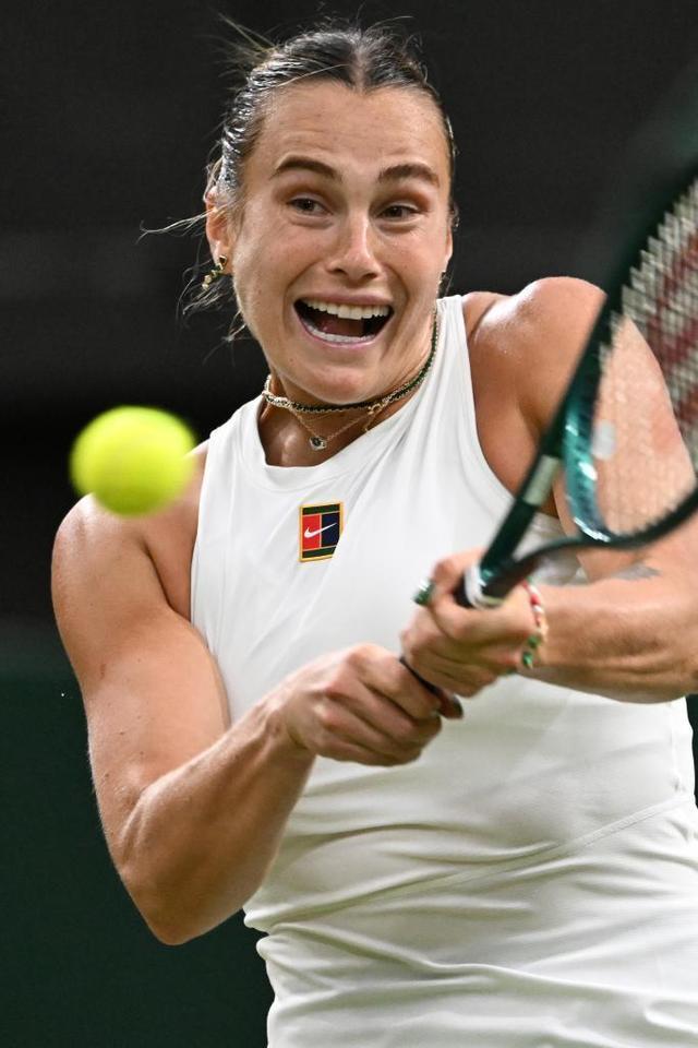 怀斯曼重返 怀斯曼重返